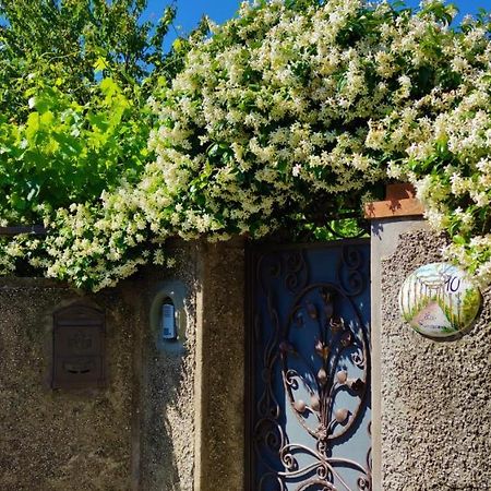 La Primavera 阿纳卡普里 外观 照片