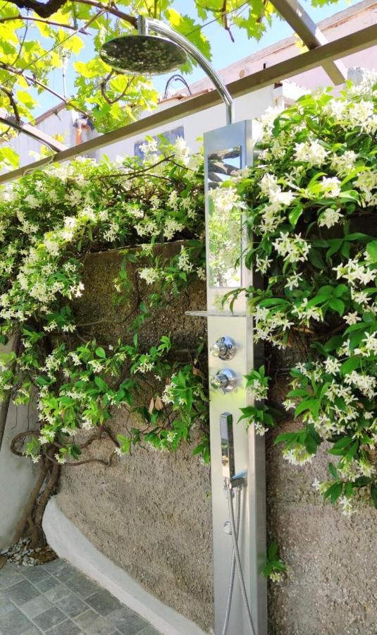 La Primavera 阿纳卡普里 外观 照片
